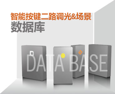 按键二路调光-场景数据库